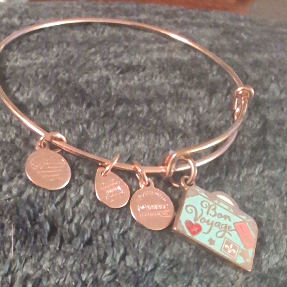 Rose Gold Alex And Ani Bon Voyage Bracelet